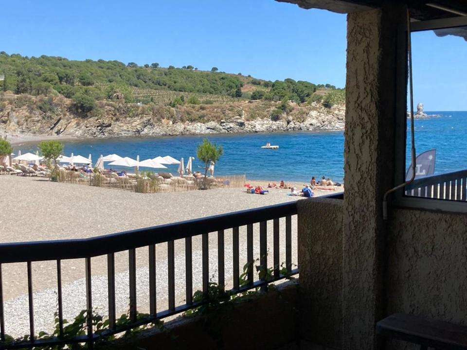 Les Pieds Dand L'Eau Apartment Banyuls-sur-Mer Exterior photo