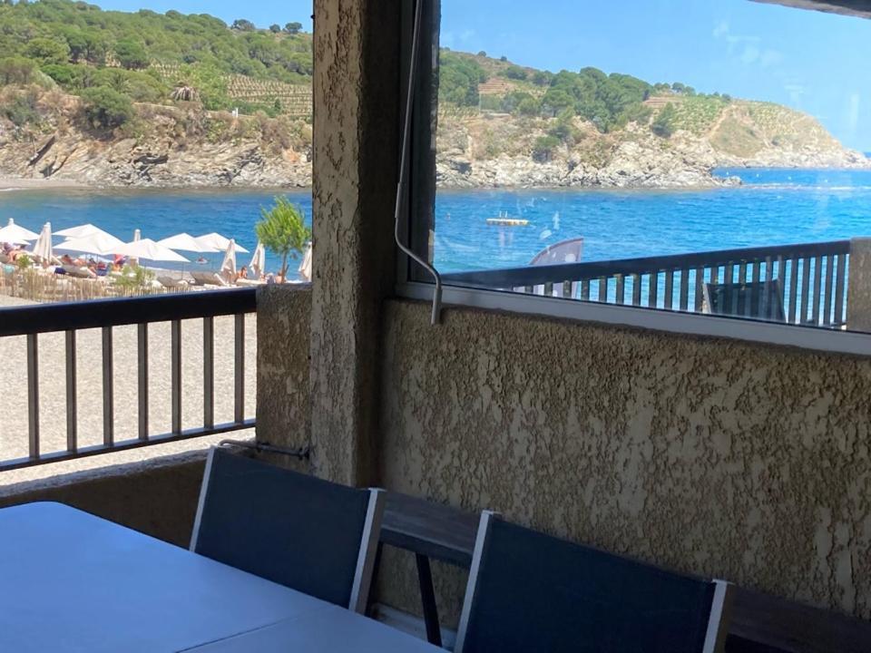 Les Pieds Dand L'Eau Apartment Banyuls-sur-Mer Exterior photo